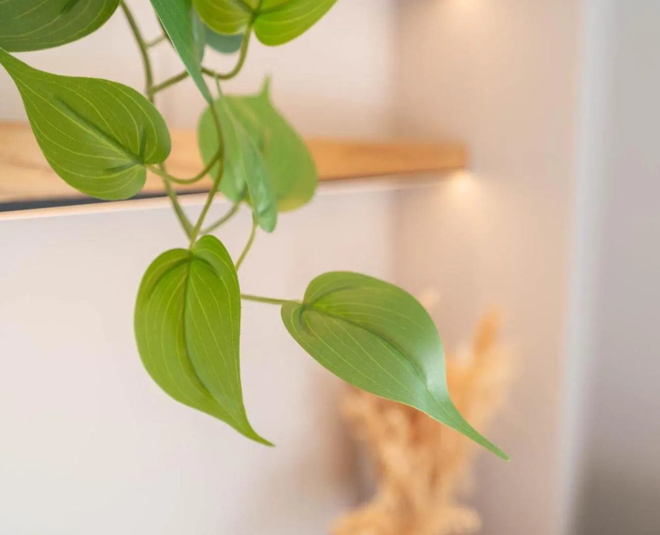 Old Town Diamond, Adorable Sunny Apartment With Ac Nice